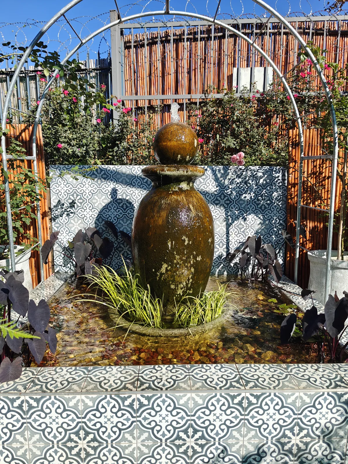 An urn fountain water feature framed by a steel rose arch, with climbing roses and a patterned tile pond surround.